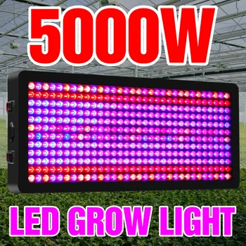 LED Full Spectrum לצמח לגדול המנורה 220V LED פיטו הנורה 2000W 3000W 4000W 5000W LED קוונטית לוח הידרופוני נטיעת אור