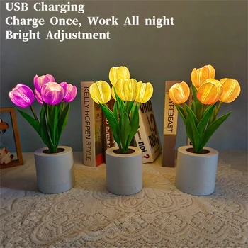 LED הצבעוני מנורת שולחן ליד המיטה מנורת לילה סימולציה פרח חם מנורת אווירה רומנטית Desklamp נטענת מתנת יום הולדת.