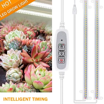 USB טיימר פיטו המנורה מקורה Led לגדול אור לצמחים מנורת LED ניתן לעמעום Phytolamps ספקטרום מלא הידרופוניקה לגדול מנורות