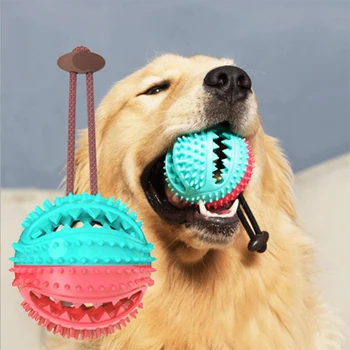 מחמד צעצועים לכלב כדור אוכל מזון מפיץ כלבים למתוח את הגומי דולף הכדור אינטראקטיבי צעצועים ללעוס שן ניקוי כדורים עם פעמון